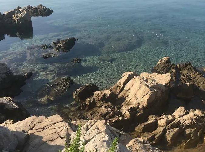 Ferguson דירה יאדראנובו